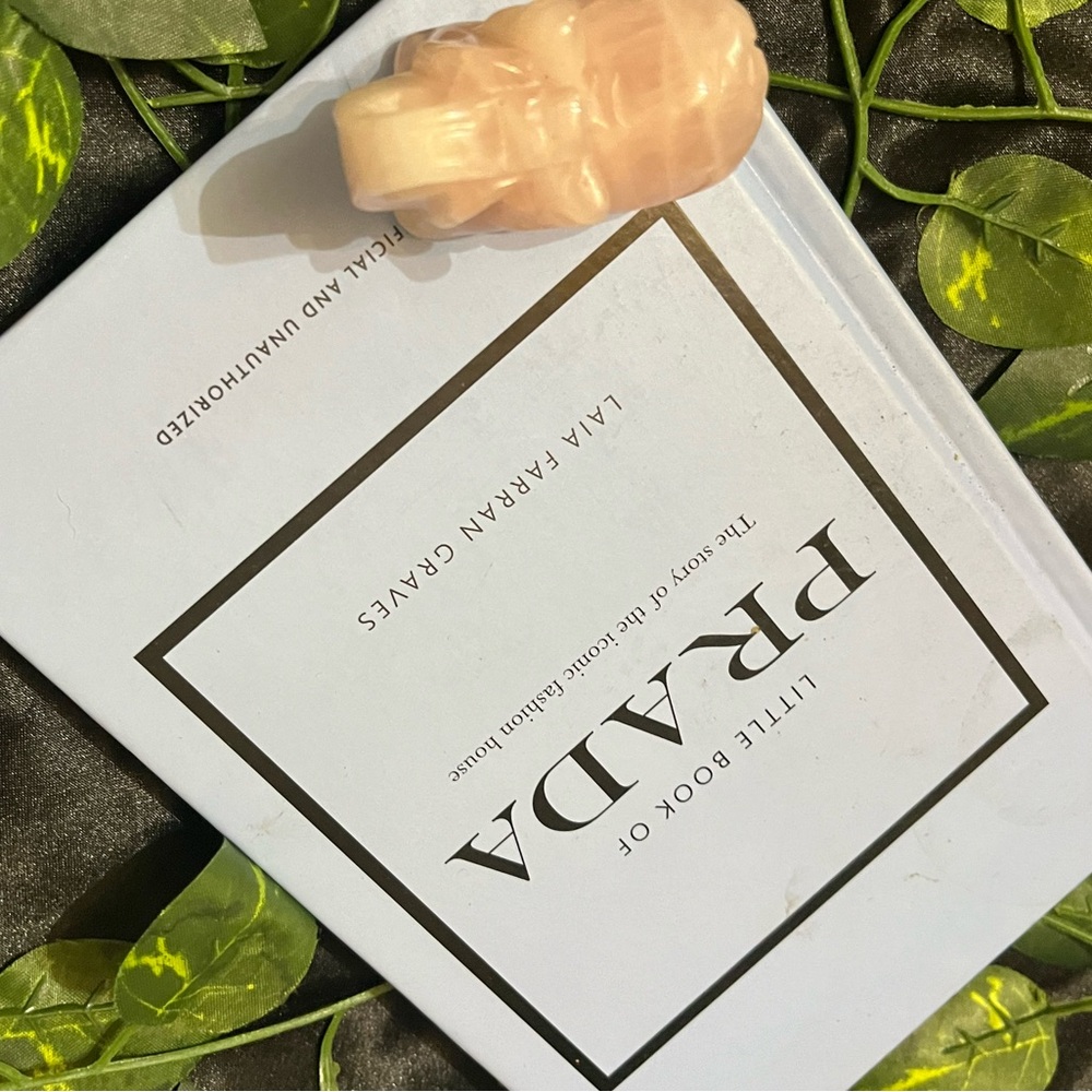 COPY - Prada & Louis Vuitton books good condition